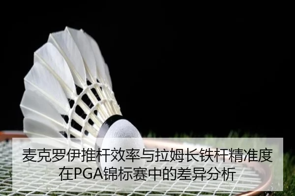 mai-ke-luo-yi-tui-gan-xiao-lv-yu-la-mu-zhang-tie-gan-jing-zhun-du-zai-jin-biao-sai-zhong-de-cha-yi-fen-xi-2-527.jpg