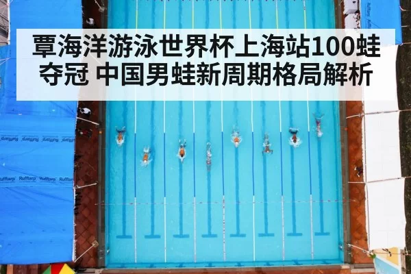 覃海洋游泳世界杯上海站100蛙夺冠 中国男蛙新周期格局解析